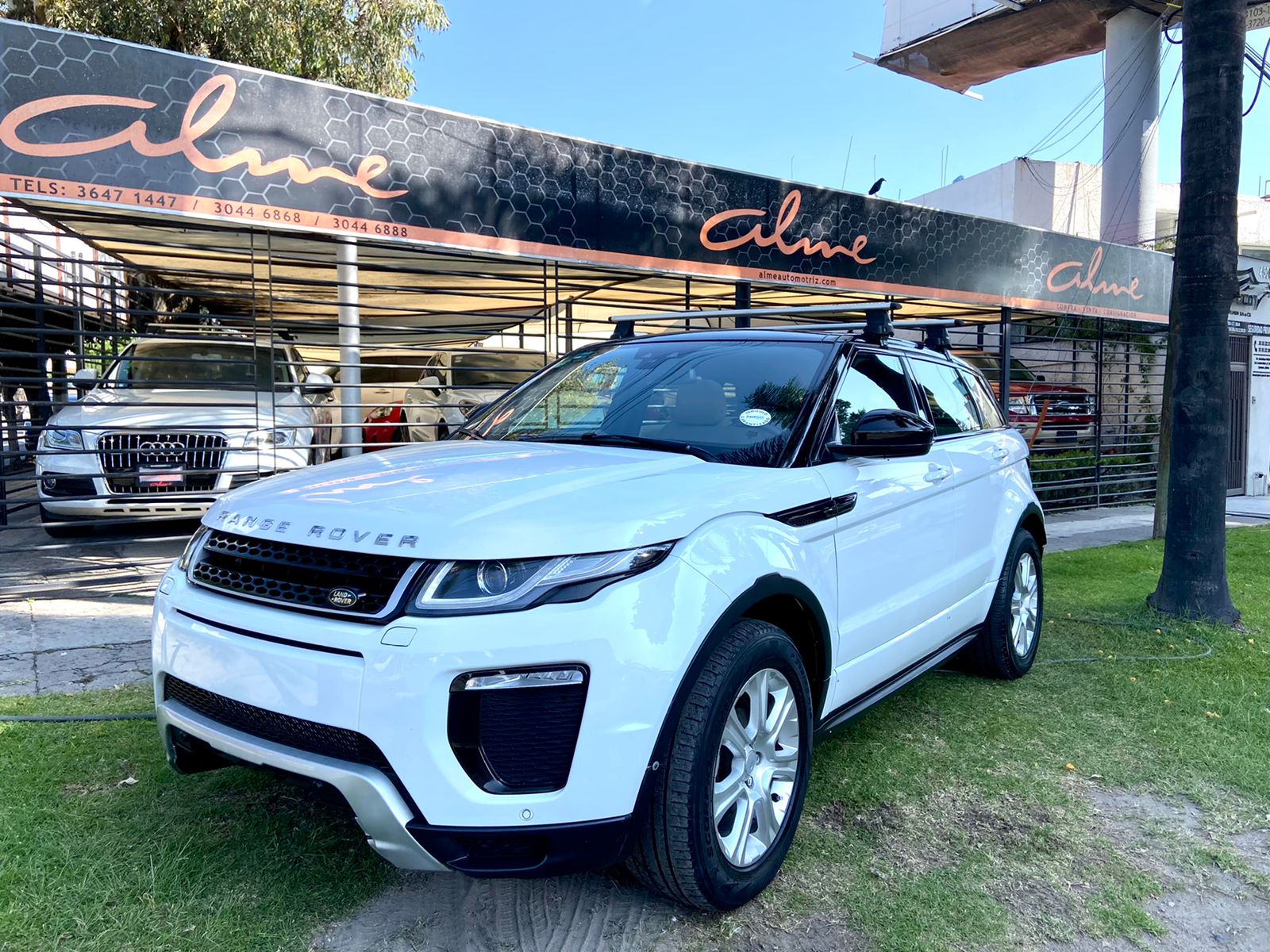RANGE ROVER EVOQUE BLANCO 2016