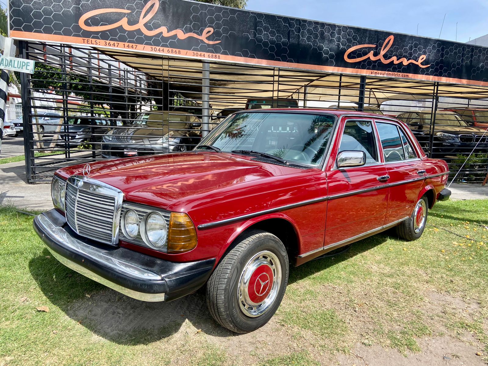 MERCEDES 240 D ROJO 1977