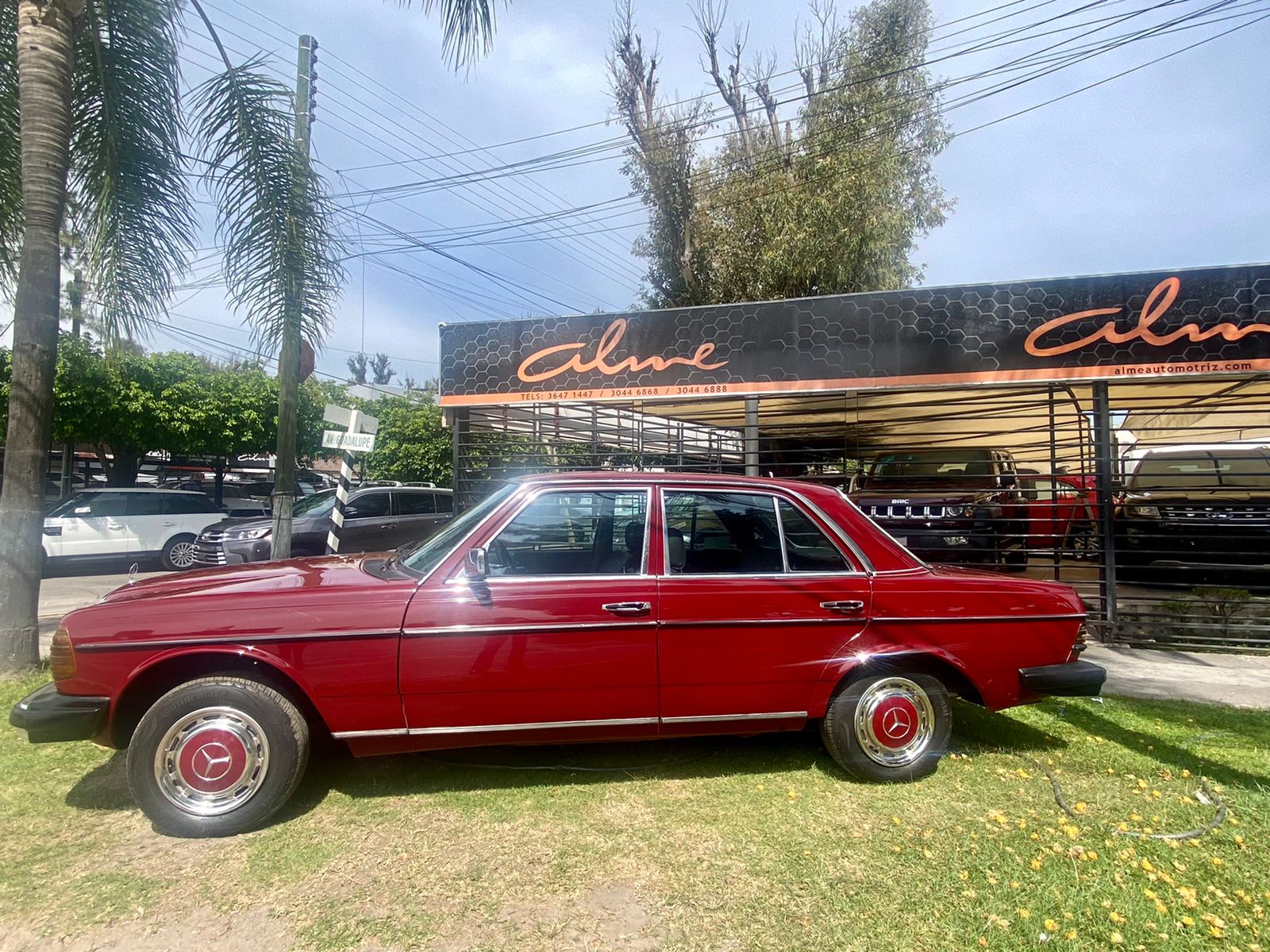 MERCEDES 240 D ROJO 1977